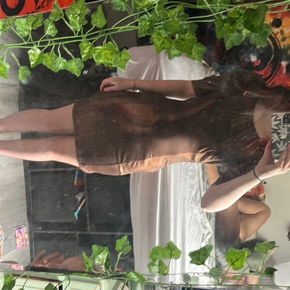 Brown shimmered dress